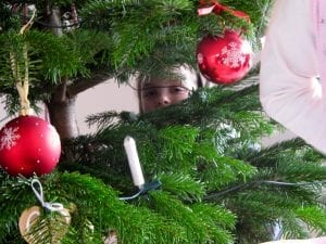 jul, julen, julepynt, juletræ