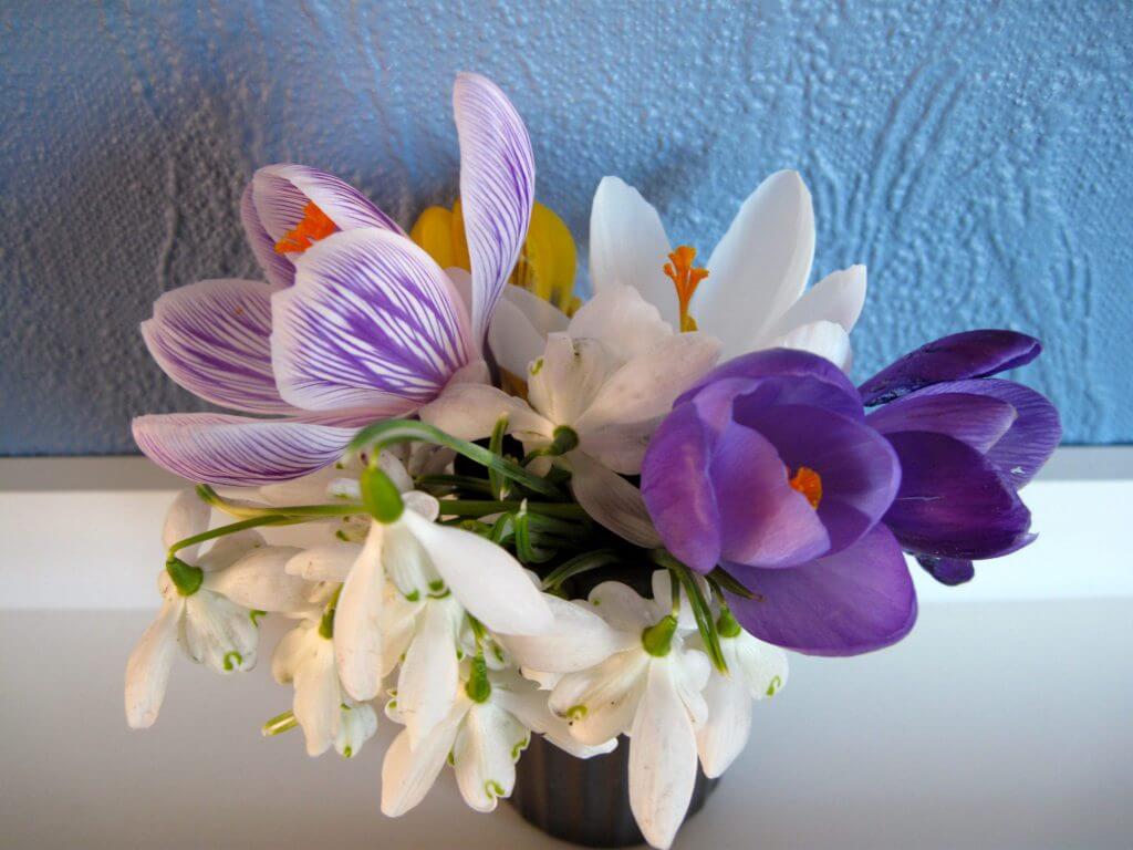 stress, blomster, buket,